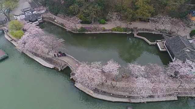 空龟头岛位于无锡市太湖樱花景区视频下载