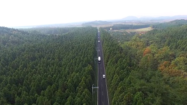 Jeju-do岛Bijarim-ro街鸟瞰图视频素材