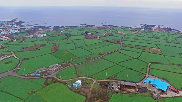 济州岛巴特丹(玄武岩石墙)稻田鸟瞰图视频素材