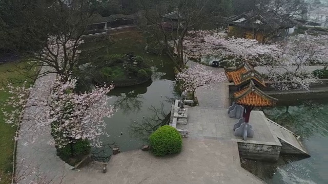 空龟头岛位于无锡市太湖樱花景区视频素材