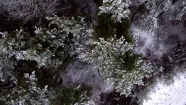 天线:雪落在树梢上视频素材