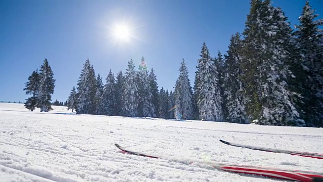 专业的越野滑雪运动员在山上滑冰视频素材