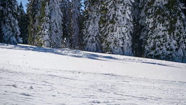 坚定的越野滑雪者在森林边滑雪上山视频素材