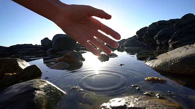 人的手从海池塘中舀取淡水视频素材