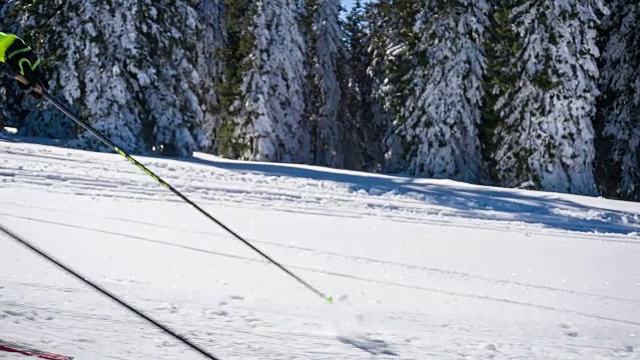 专注的越野滑雪者在森林边的山坡上滑冰视频素材