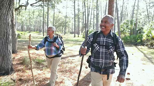 老非裔美国人夫妇在树林里徒步旅行视频素材