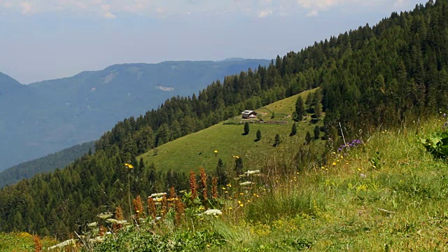 意大利，Fiemme山谷，卡瓦尔斯，弗罗里亚纳牧场山谷视频素材