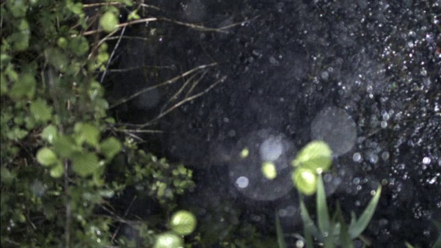 雨滴落进池塘，英国视频素材