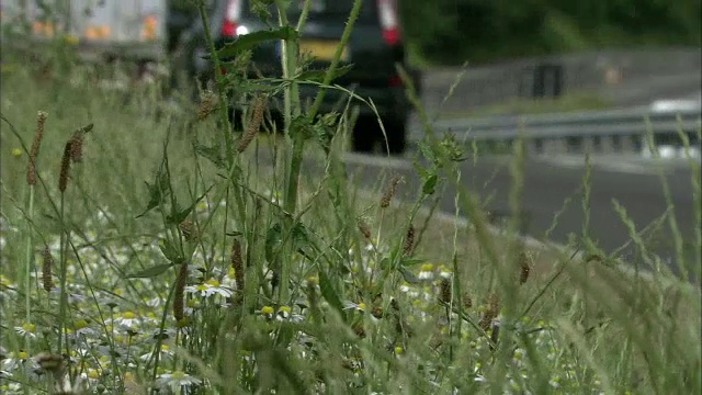 英国高速公路上，车辆快速驶过vergeside工厂视频素材