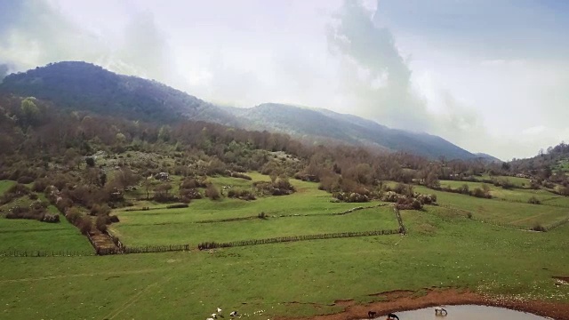 无人机鸟瞰意大利风景:野地里的野马视频素材