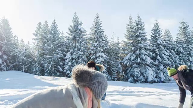 朋友们在打雪仗视频素材