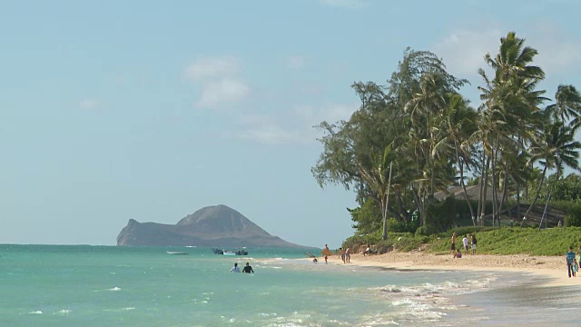 人们在夏威夷檀的海滩上享受视频素材