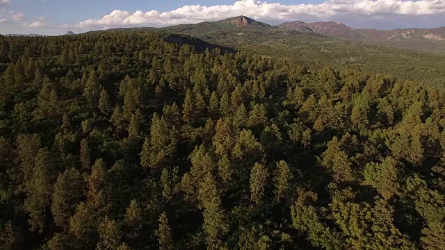 4K 自然/野生动物/天气视频素材