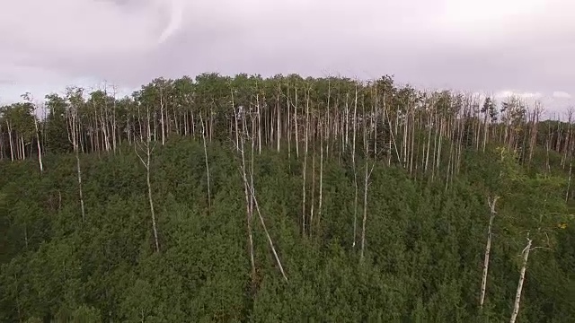 科罗拉多落基山脉，科罗拉多河，格兰比湖的山大坝，美丽的水反射，春天，原始的水，树叶，野生白杨树发现景观4K自然/野生动物/天气视频素材