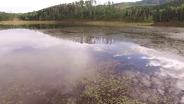 科罗拉多落基山脉，科罗拉多河，格兰比湖的山大坝，美丽的水反射，春天，原始的水，树叶，野生动物4K自然/野生动物/天气视频素材