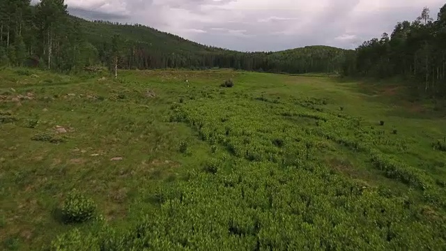 科罗拉多落基山脉，科罗拉多河，格兰比湖的山大坝，美丽的水反射，春天，原始的水，树叶，野生白杨树4K自然/野生动物/天气视频素材