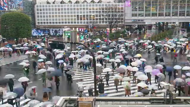 涉谷雨日，人们在涉谷十字路口行走视频素材