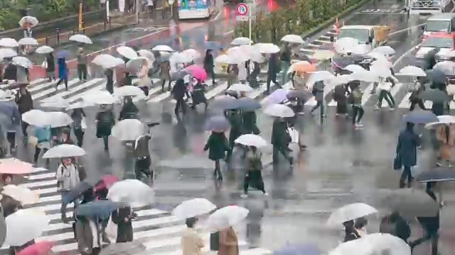 涉谷雨日，人们在涉谷十字路口行走视频素材