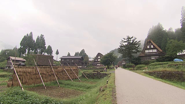 日本富山的茅草屋顶房屋视频素材