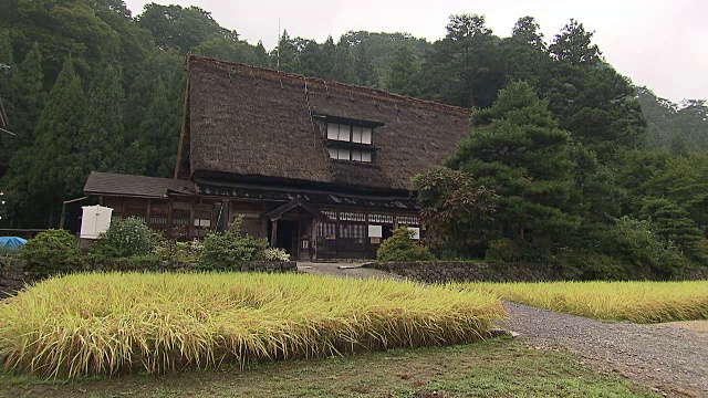 日本富山的茅草屋顶的房子视频素材