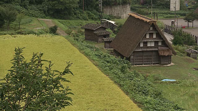 日本富山的茅草屋顶的房子视频素材