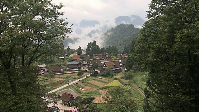 日本富山的茅草屋顶房屋视频素材