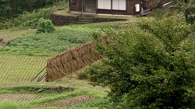 日本富山的茅草屋顶的房子视频素材