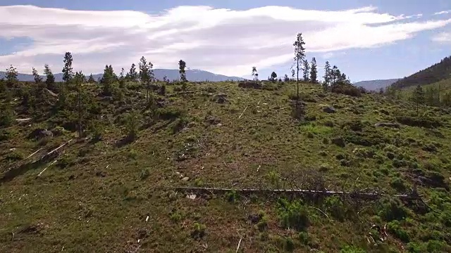 科罗拉多落基山脉，科罗拉多河，格兰比湖的山大坝，美丽的水反射，春天，原始的水，树叶，野生白杨树4K自然/野生动物/天气视频素材