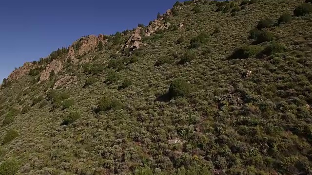 科罗拉多落基山脉，科罗拉多河，格兰比湖的山大坝，美丽的水反射，春天，原始的水，树叶，野生白杨树发现景观4K自然/野生动物/天气视频素材