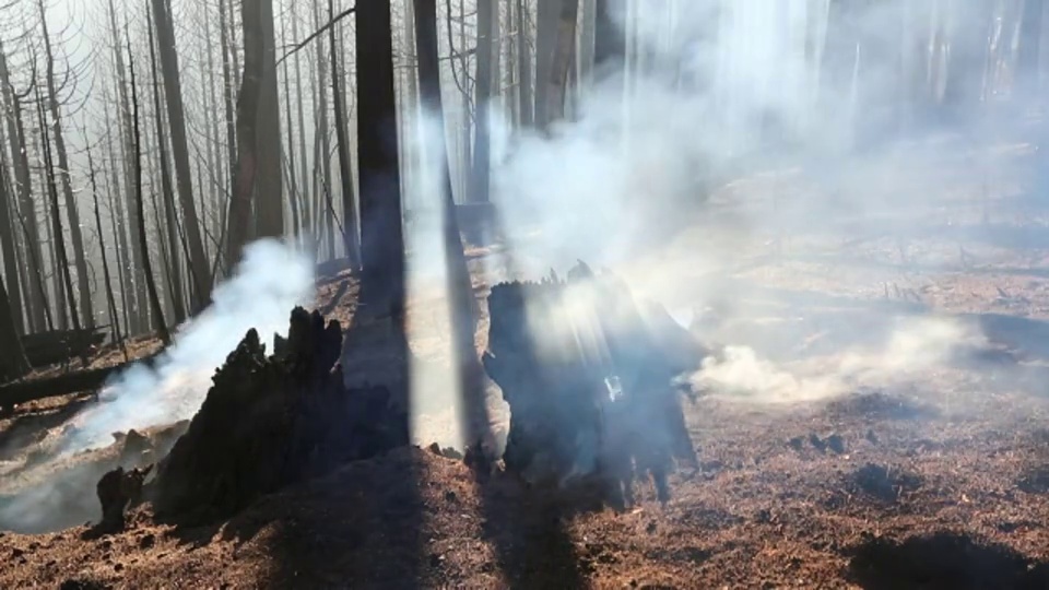 这场大火烧毁了美国加州埃尔多拉多国家森林97,717英亩的土地。在经历了史无前例的长达四年的干旱之后，野火变得更加常见。加州大部分地区处于异常干旱中，这是最高级别的干旱视频素材