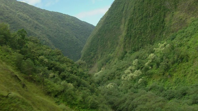 一条小溪流过美丽而郁郁葱葱的夏威夷山谷。视频素材