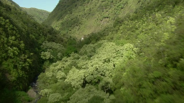 一架直升机飞过大岛的霍诺坎努伊山谷向海岸飞去。视频素材