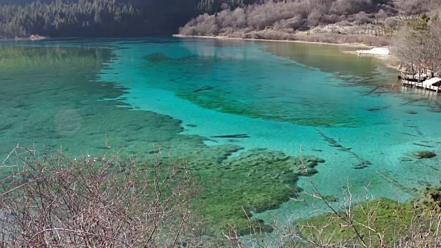 中国四川九寨沟五花湖视频素材