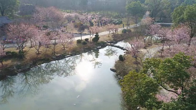 空龟头岛位于无锡市太湖樱花谷风景区视频素材