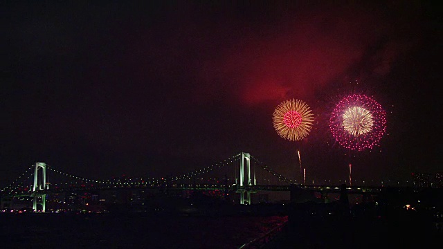 2012年东京湾大烟花节视频素材