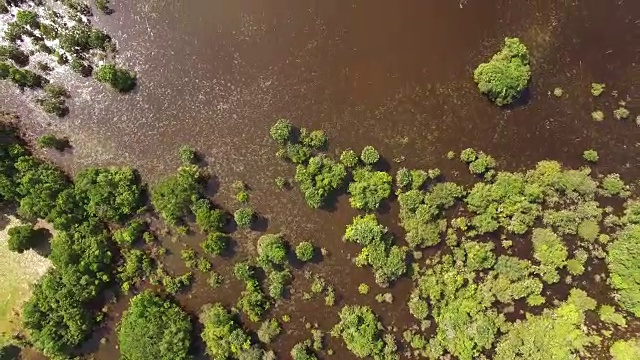 湿地鸟瞰图-戈亚斯，巴西视频素材