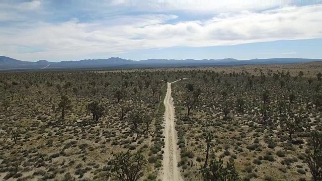 约书亚树国家森林，沙漠贫瘠的土地，没有人与偏远的位置仙人掌加利福尼亚沙漠，莫哈韦沙漠，与极端地形4K自然/野生动物/天气视频素材