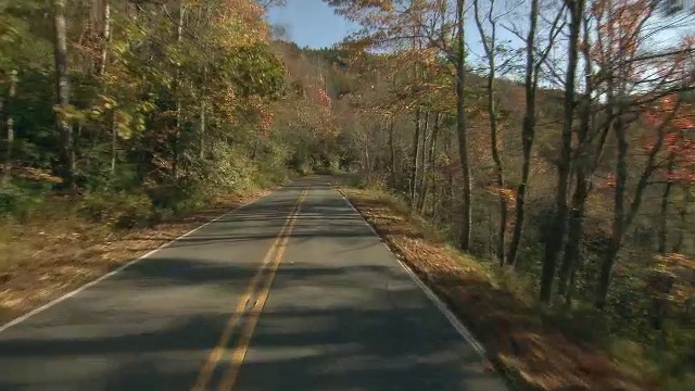 乡村道路蜿蜒穿过北卡罗来纳州的森林，森林被秋色染得更加明亮。视频素材