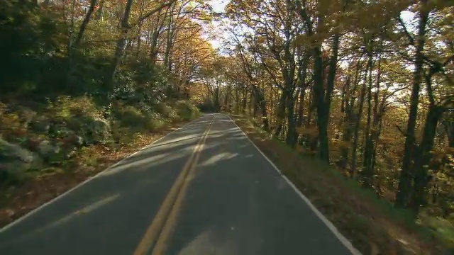 北卡罗来纳山路秋季地面拍摄。视频素材