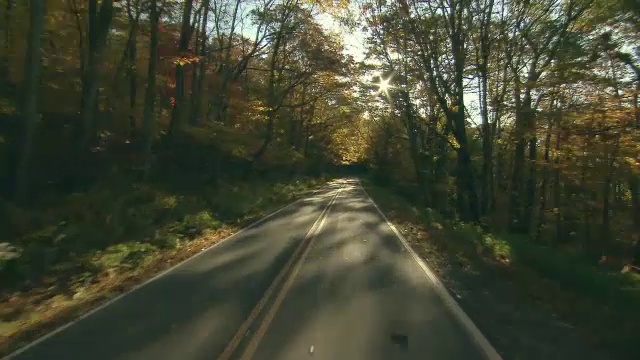 光线透过树木进入北卡罗莱纳州山区的乡村道路。视频素材