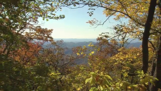 蓝岭山和秋叶。视频素材