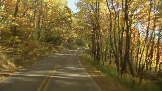 汽车的观点，通过秋天的树叶在阳光斑驳，双车道的道路。视频素材