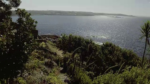 英国圣米迦勒山的植被视频素材