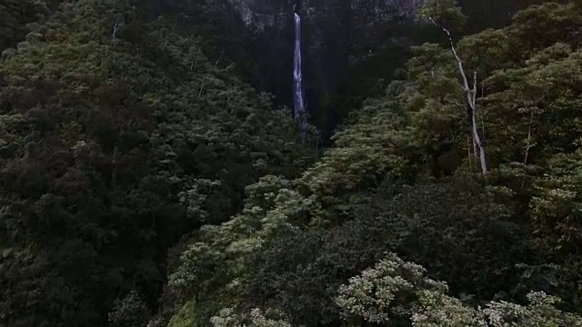 天线。镜头从绿色的山谷飞向夏威夷考艾岛上令人叹为观止的瀑布。视频素材