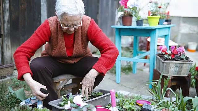 高级妇女与园艺工具在她的后院花园工作视频素材