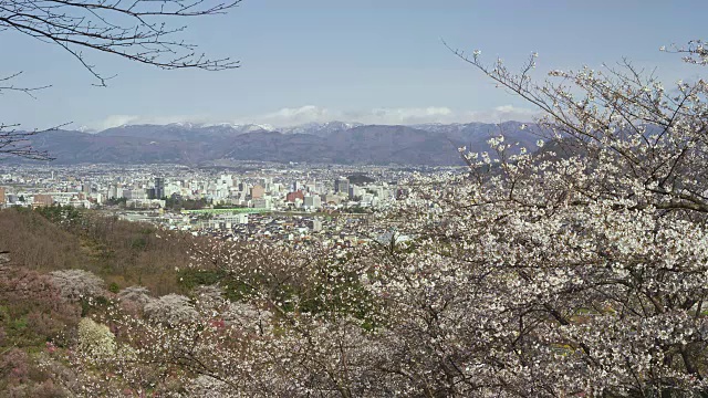 福岛花山公园视频素材