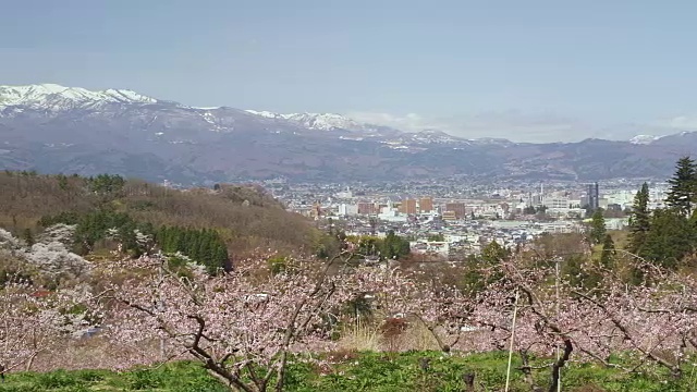 福岛花山公园视频素材