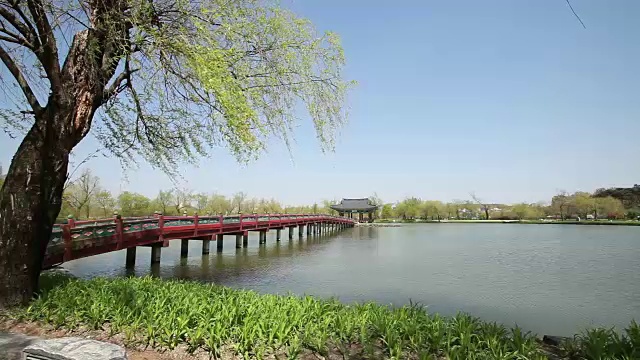 Gungnamji池塘(韩国135历史遗址，韩国第一个人工池塘，由百济王朝的穆王创建)视频素材