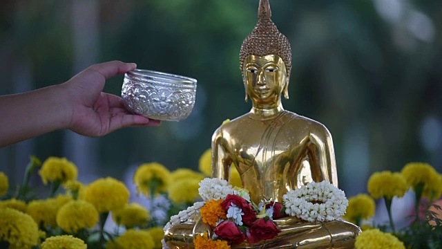 庆祝泰国新年视频下载