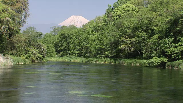 富士山和Kakita河视频素材